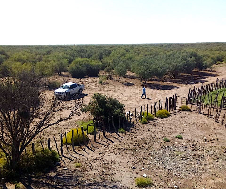 25,000 ACRES FOR CATTLE OR DEVELOPMENT