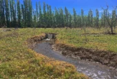 31-Acre Farm with View of the Sierra Pintadas (Painted Hills) Good Soil, Great Water