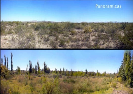50 ACRES OF RAW UNDEVELOPED CAMPO LAND WITH VIEWS OF THE ANDES PRE-CORDILLERAS
