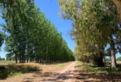 4,690-Acre Ranch in Alfalfa & Pasture for Cattle