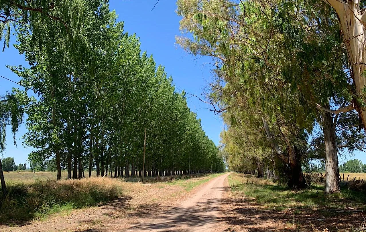 4,690-Acre Ranch in Alfalfa & Pasture for Cattle