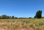 4,690-Acre Ranch in Alfalfa & Pasture for Cattle