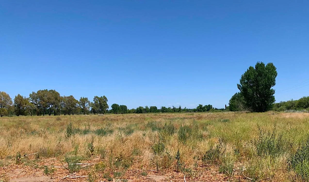 4,690-Acre Ranch in Alfalfa & Pasture for Cattle