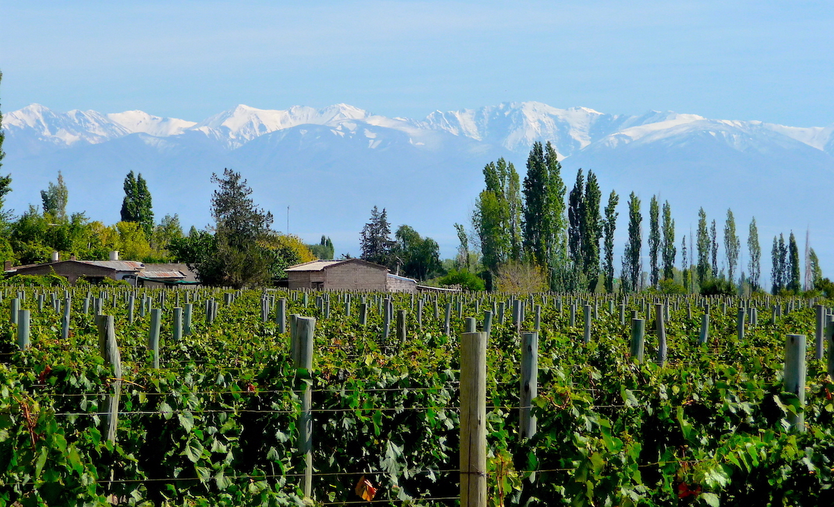 VALLE DE UCO! Top Premium 114-Acre Wine Estate, Award-Winning Wine & Exports with Plans for Luxury Resort