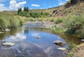 MINERAL SPRINGS OASIS IN THE DESERT! — — — 2,200-Acre Campo with Surging Water