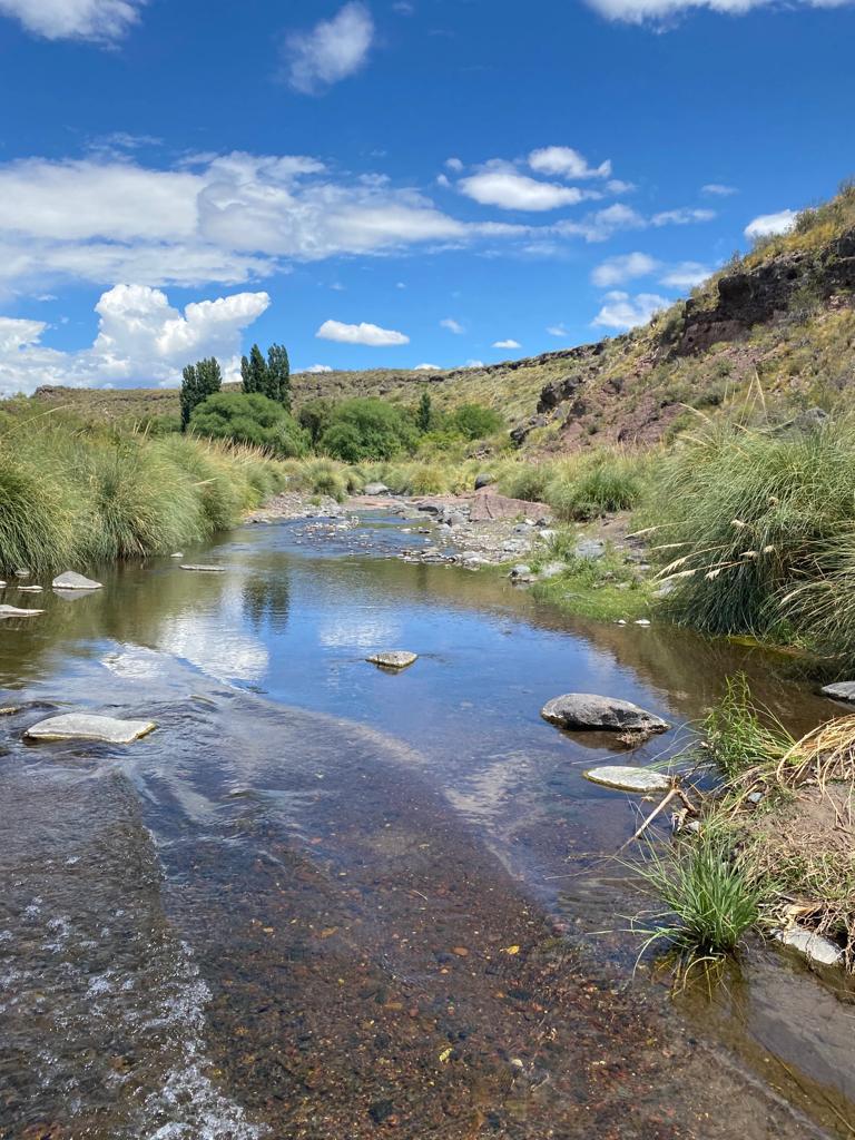 MINERAL SPRINGS OASIS IN THE DESERT! — — — 2,200-Acre Campo with Surging Water