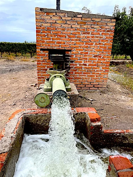 Cabernet Sauvignon Vineyard with Pool Home on 48-Acre Farm